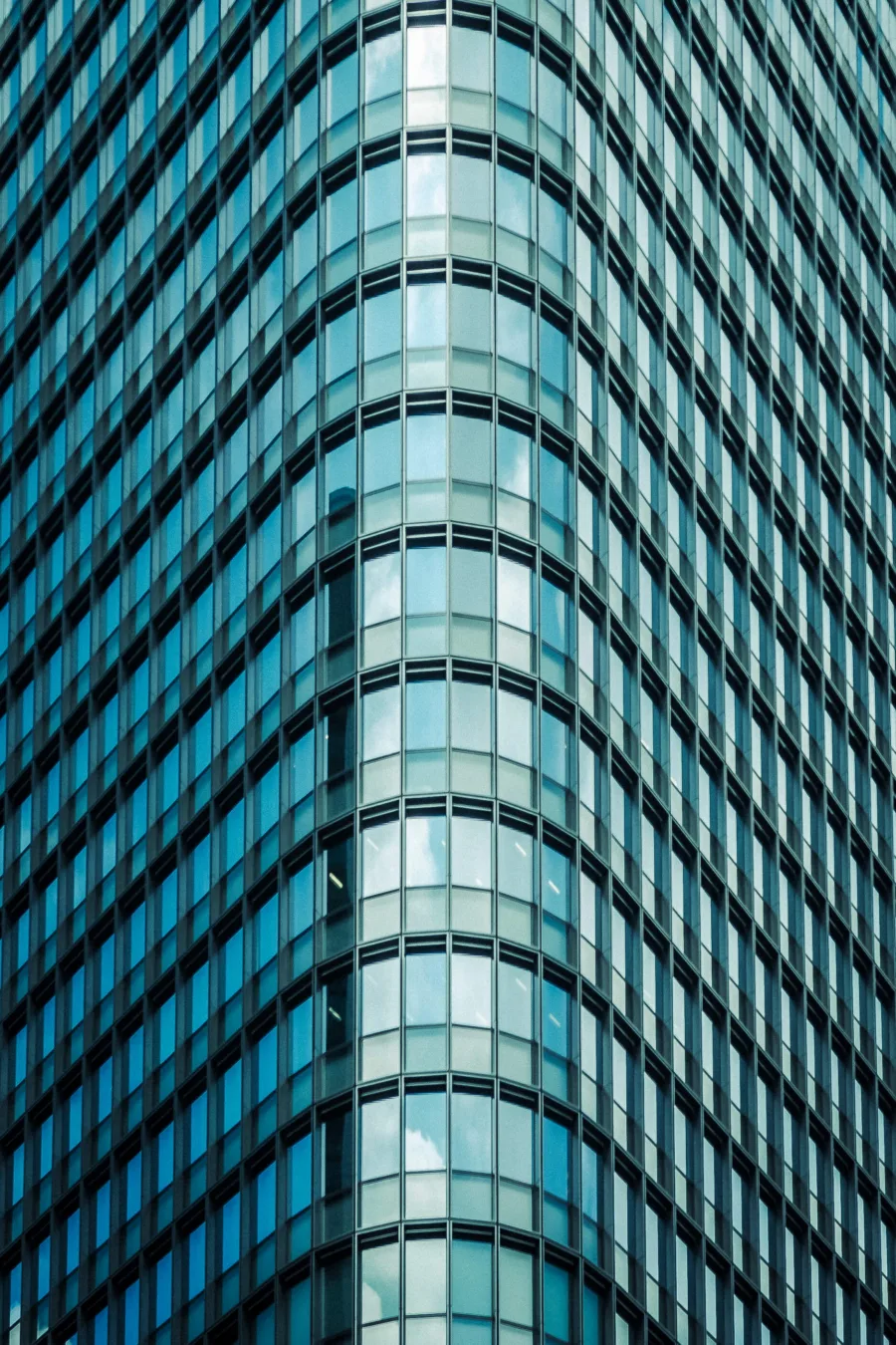 PORTFOLIO 20
