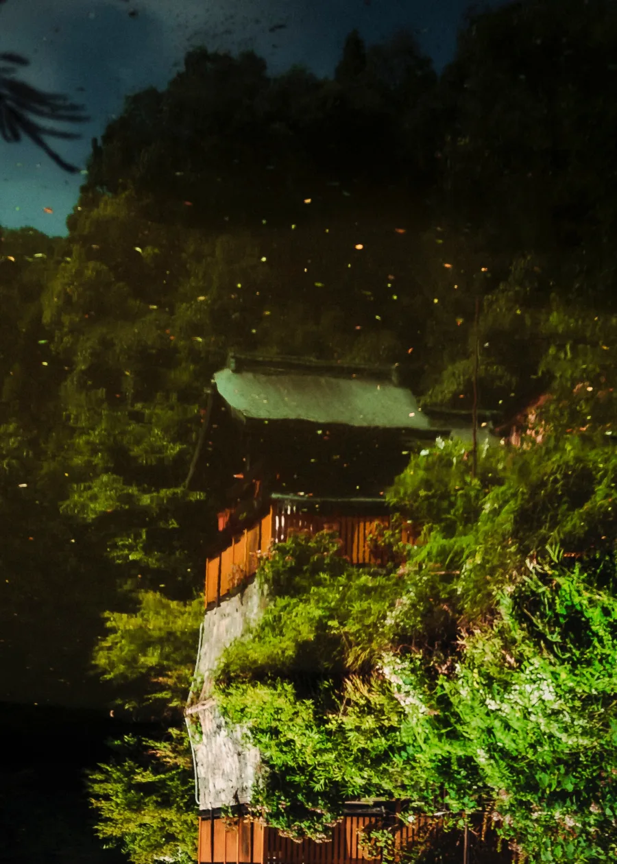 PORTFOLIO 22