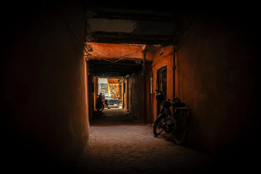 PORTFOLIO 24